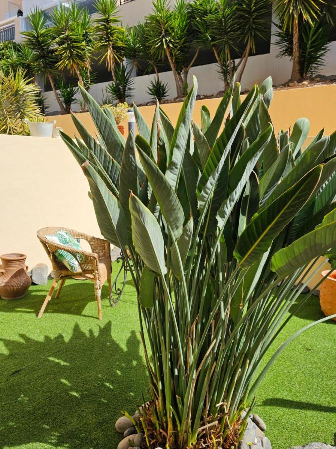 أذيخي New Holiday Home Beautiful Sea View With Aircon, Costa Adeje المظهر الخارجي الصورة